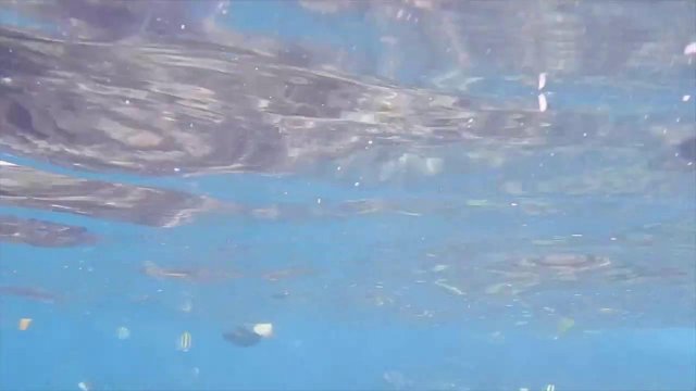 Симпатичная аквалангистка трахнулась со своим водителем