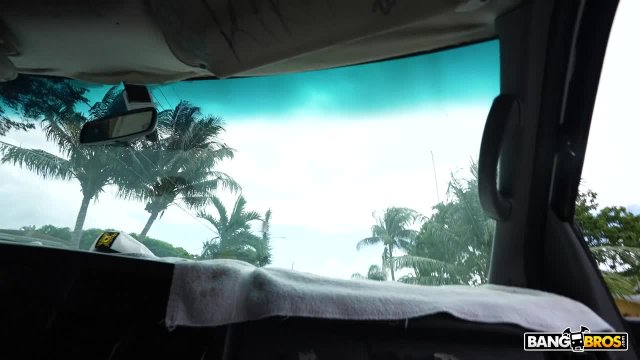 Превью Жертва пикапера и её основные требования № 47508